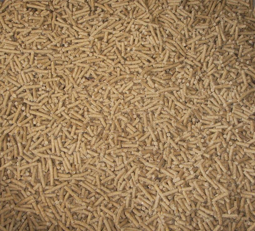 product-816-740