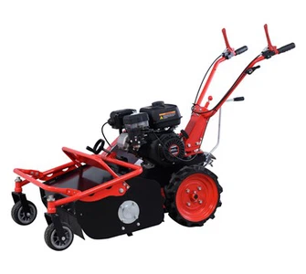 Mower gazon gazolin